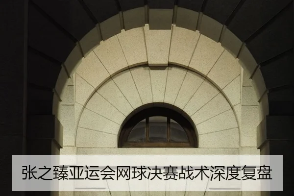 张之臻亚运会网球决赛战术深度复盘